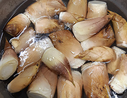 春の味覚・筍（木の芽焼きや筍ご飯など）