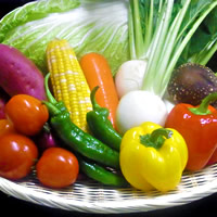 自家栽培野菜